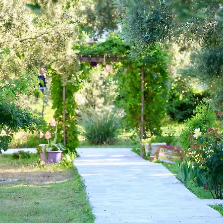 Adasu * Marmara Adasi