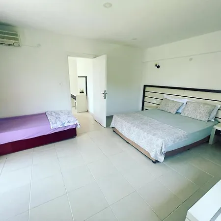 Adasu * Marmara Adasi