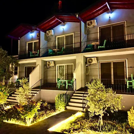 Hotel Adasu *
