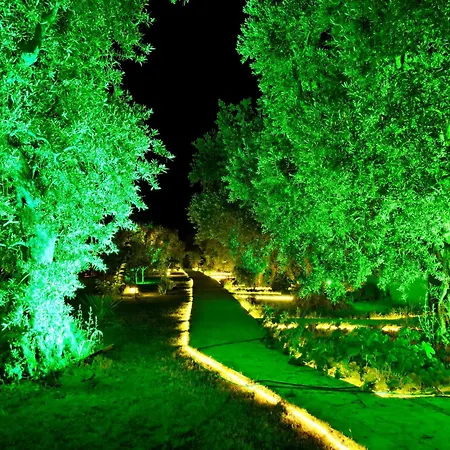 Adasu Hotel Marmara Adasi