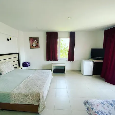 Adasu Marmara Adasi