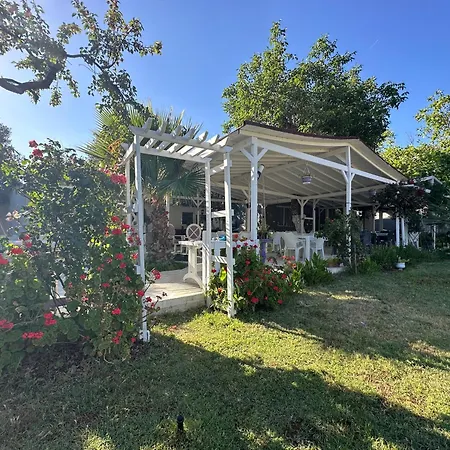 Adasu Marmara Adasi